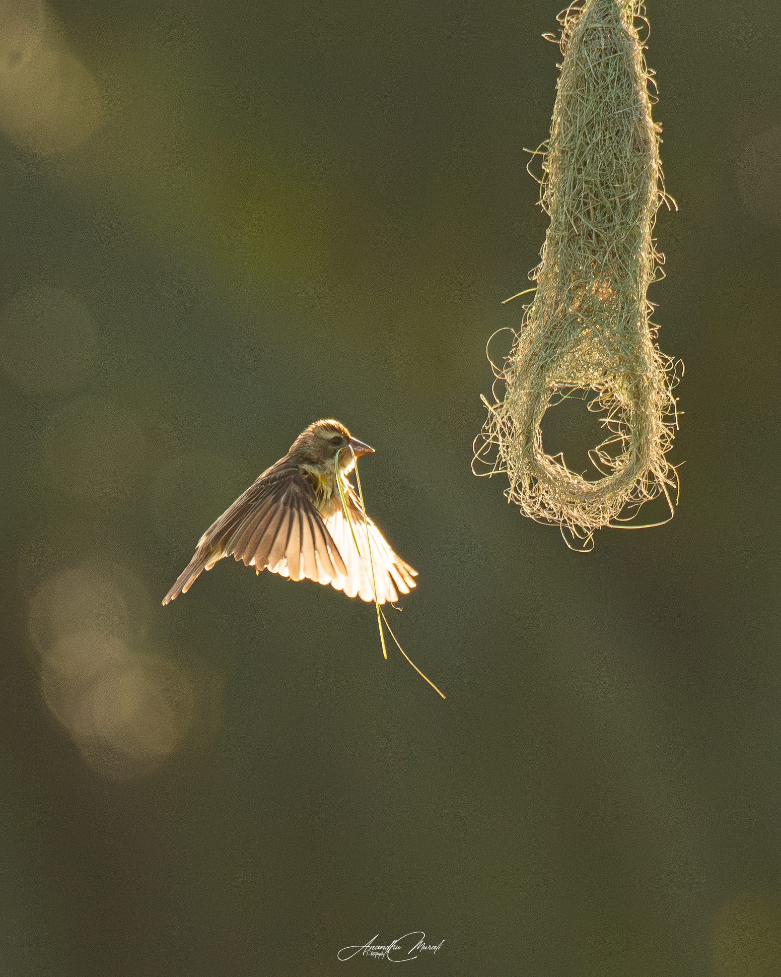 Backlight 06
