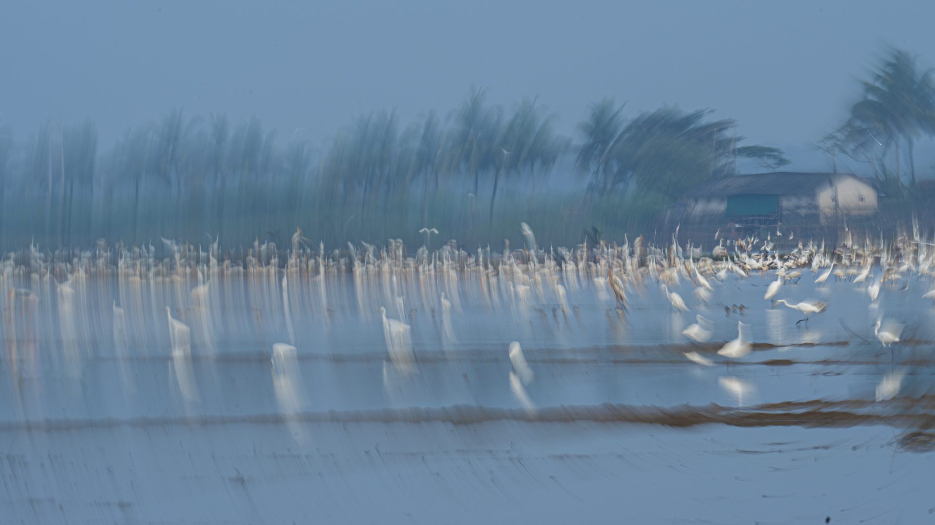 ICM 02