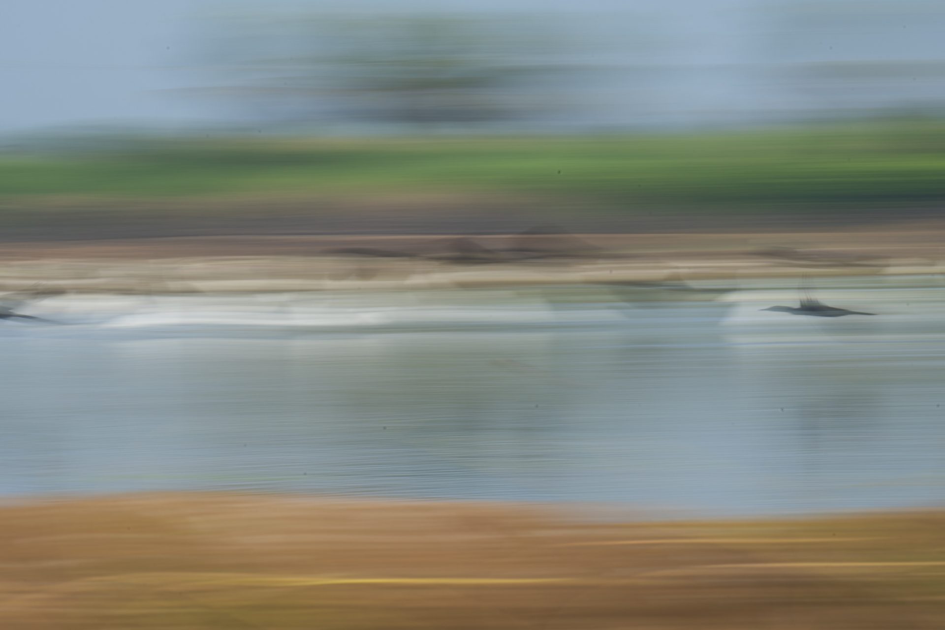 ICM 03