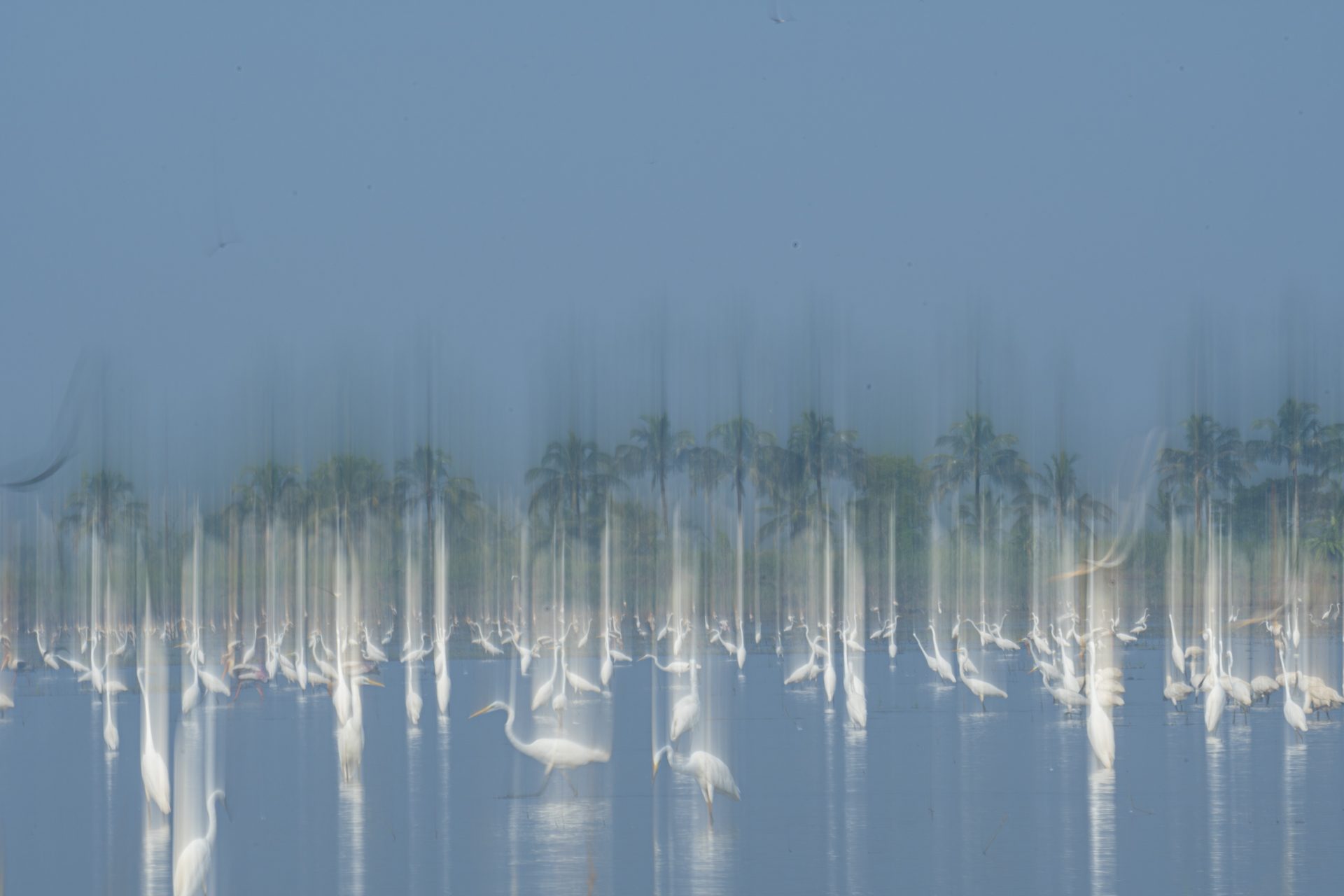 ICM 04