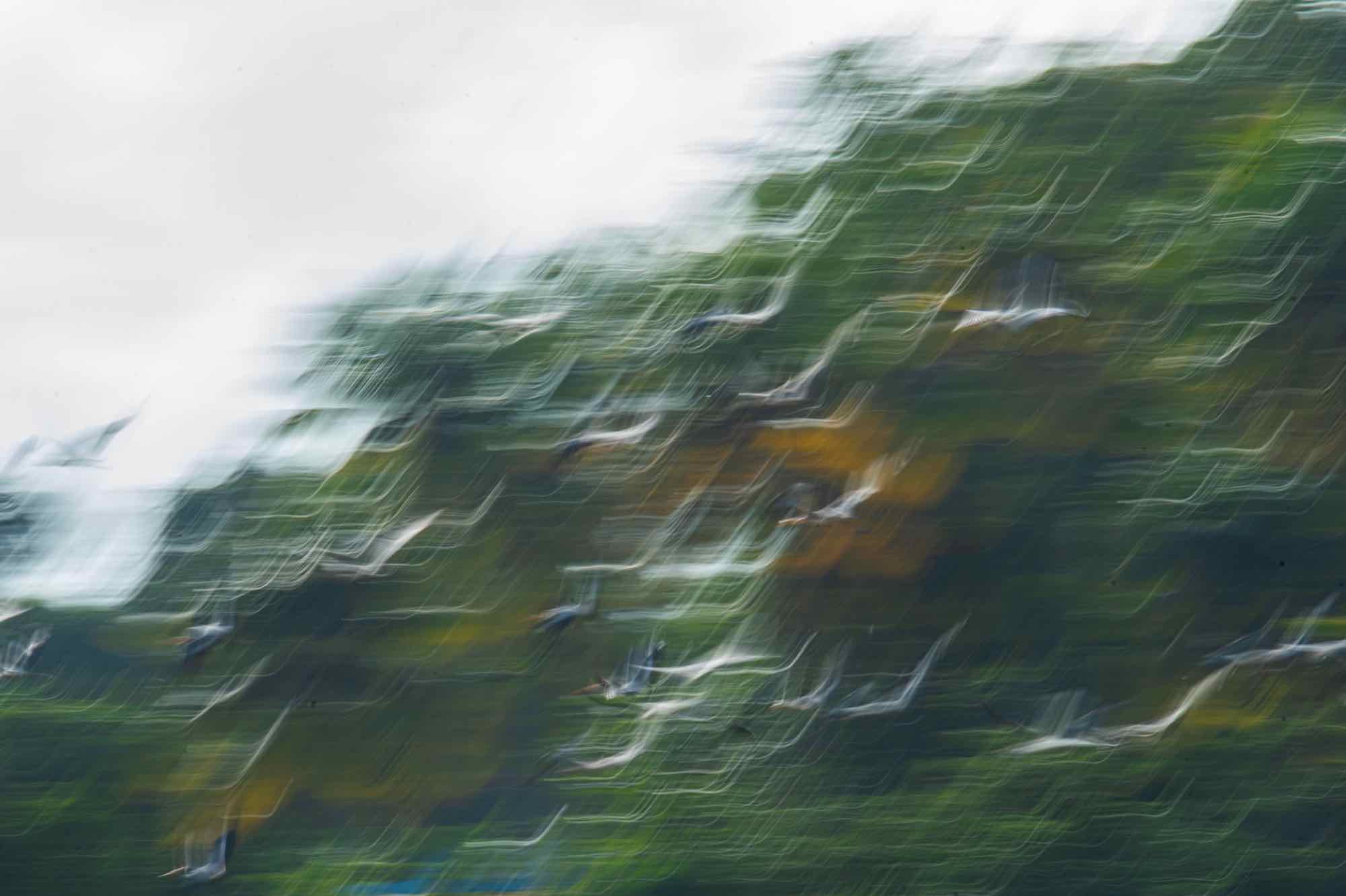 ICM 06