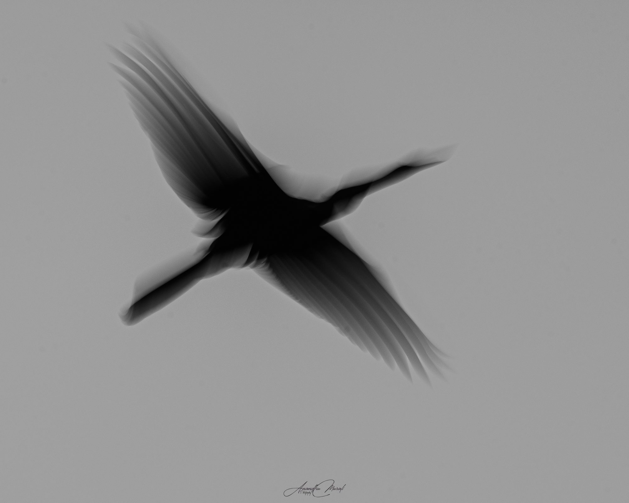 Bird overhead with wings smeared into a dark cross