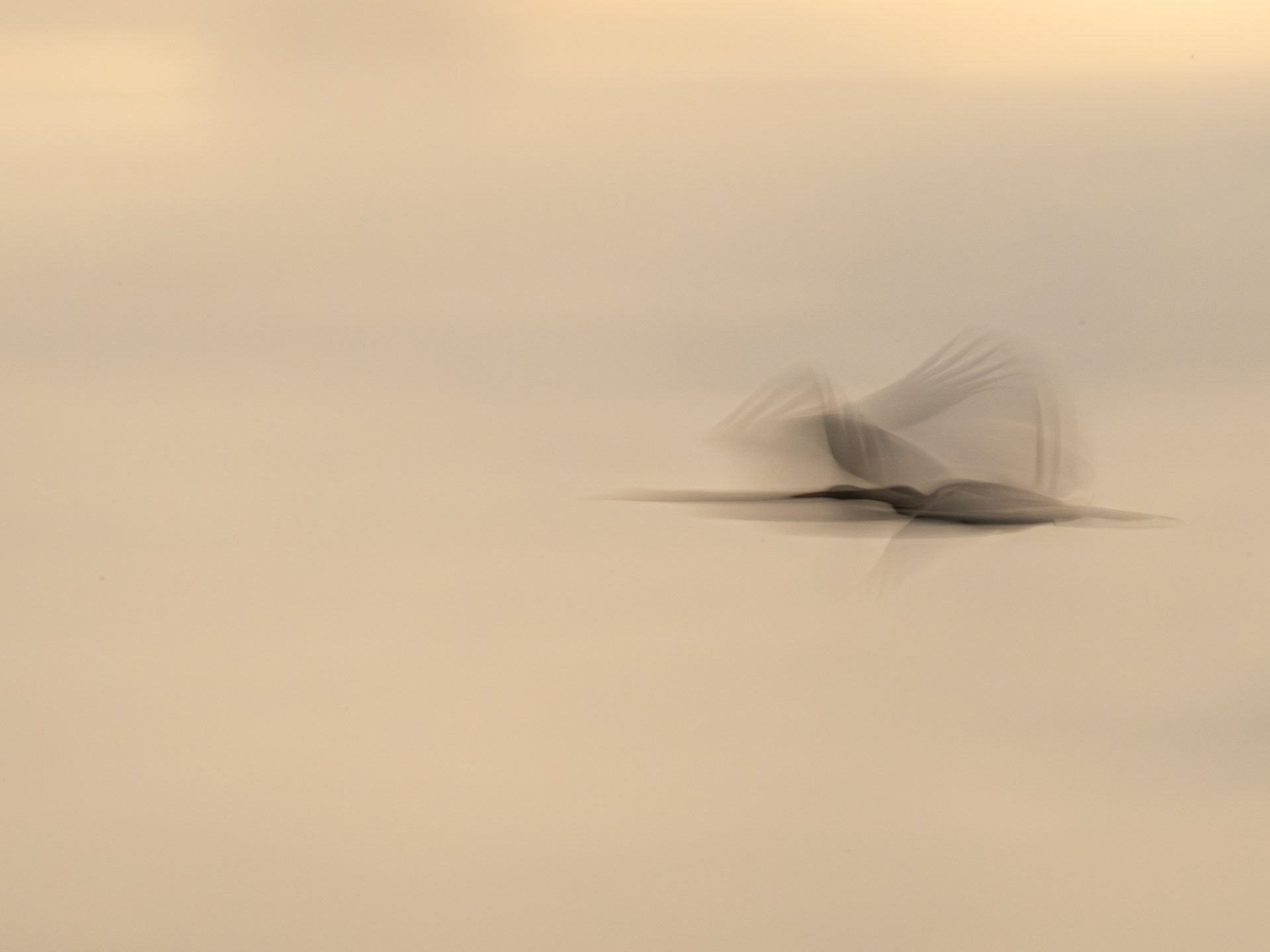 ICM