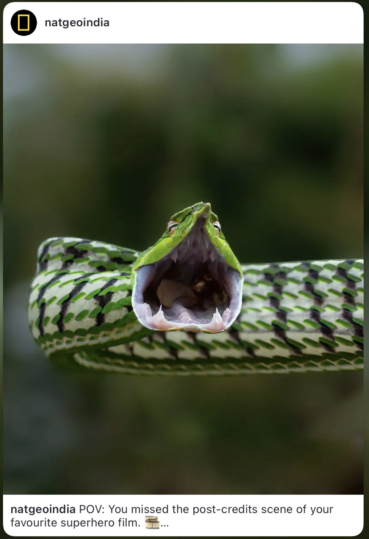 National Geographic India