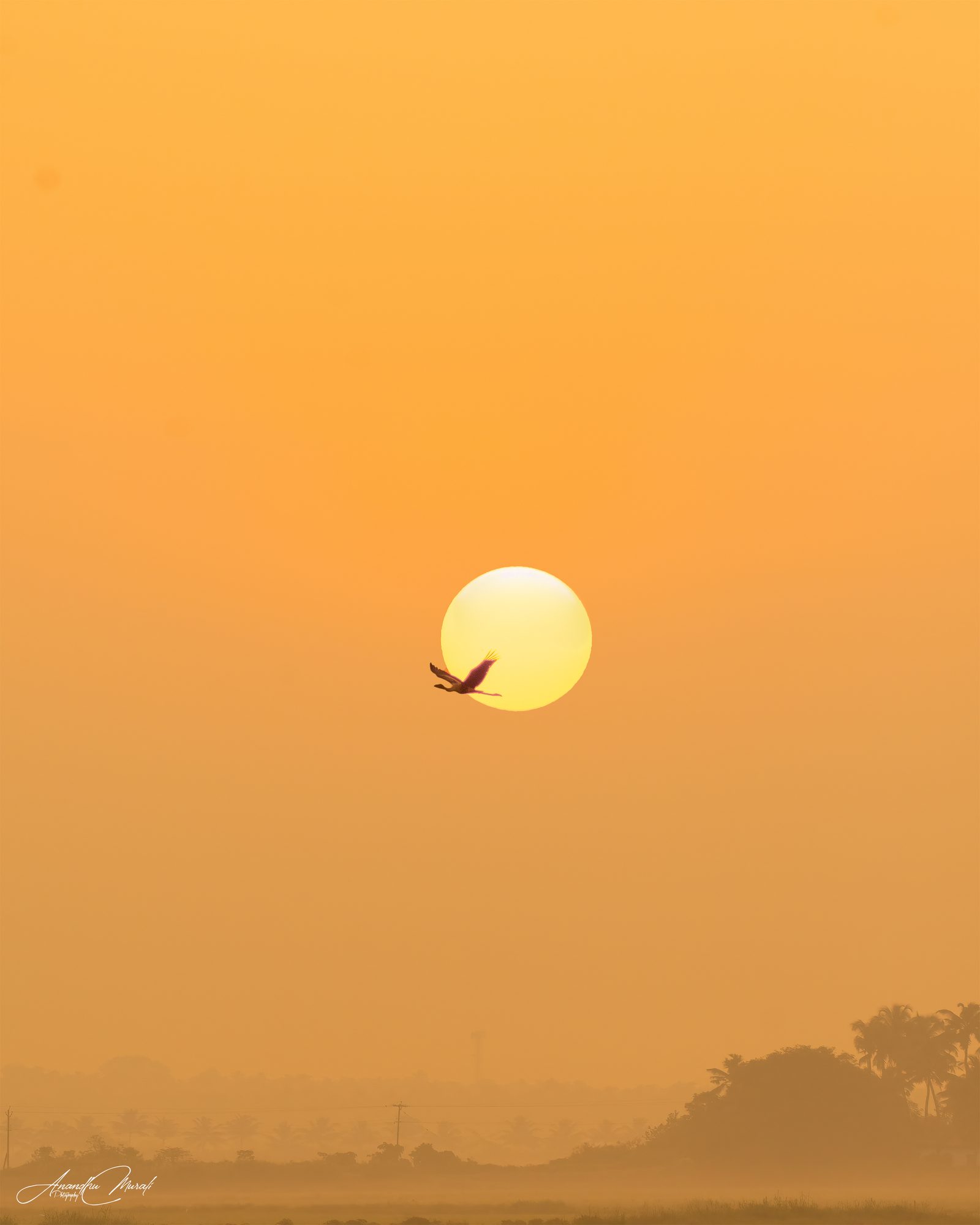Crossing the Sun print